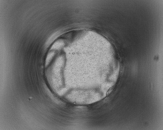 X0000113200053200910081301