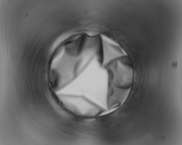 X0000113200054200910081301