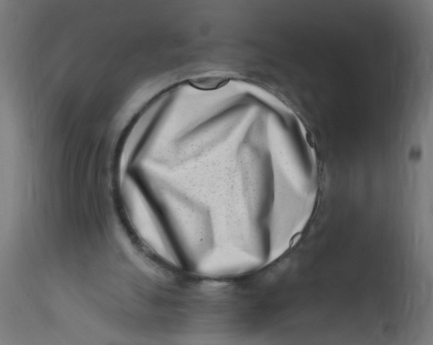 X0000113200055200910081301