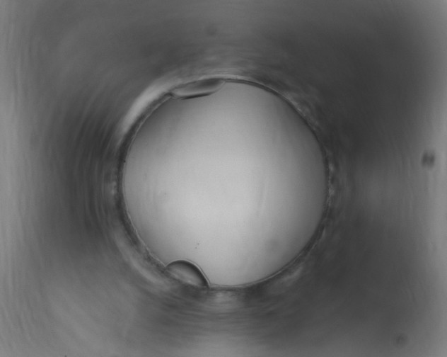 X0000113200056200910081301