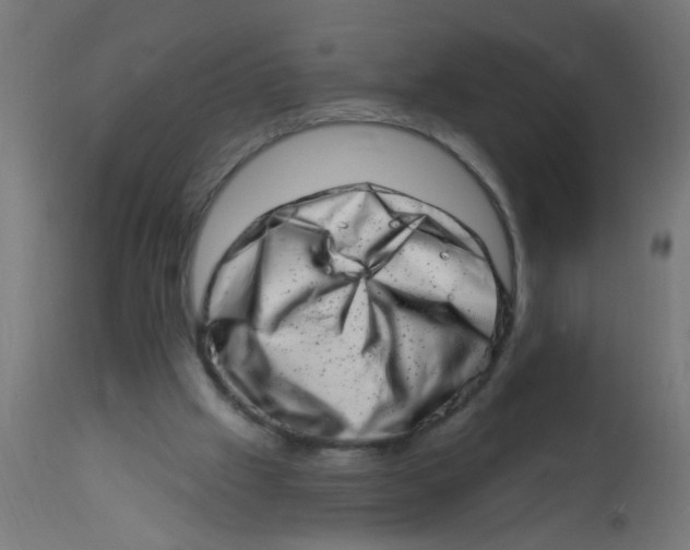 X0000113200057200910081301