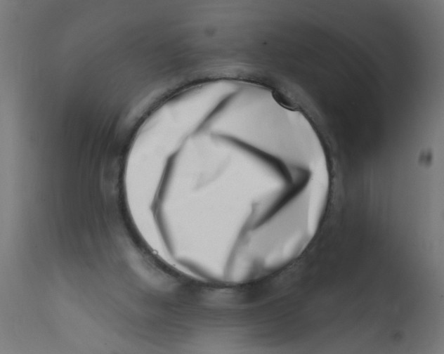X0000113200058200910081301
