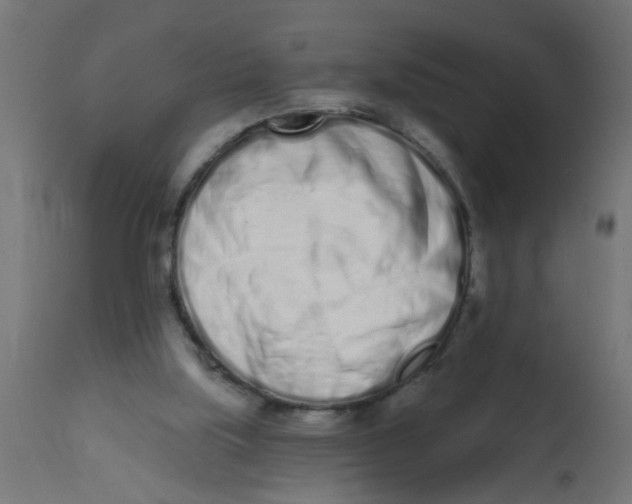 X0000113200059200910081301