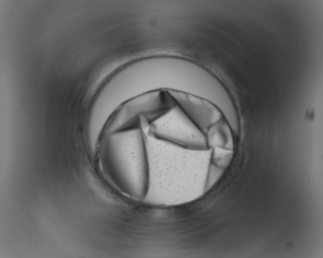X0000113200060200910081301