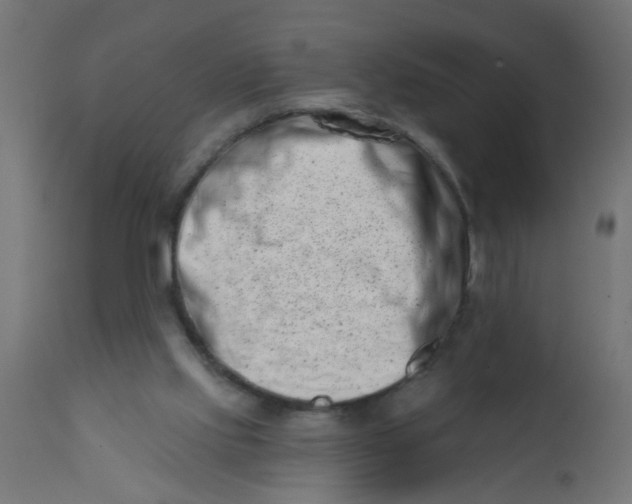 X0000113200061200910081301