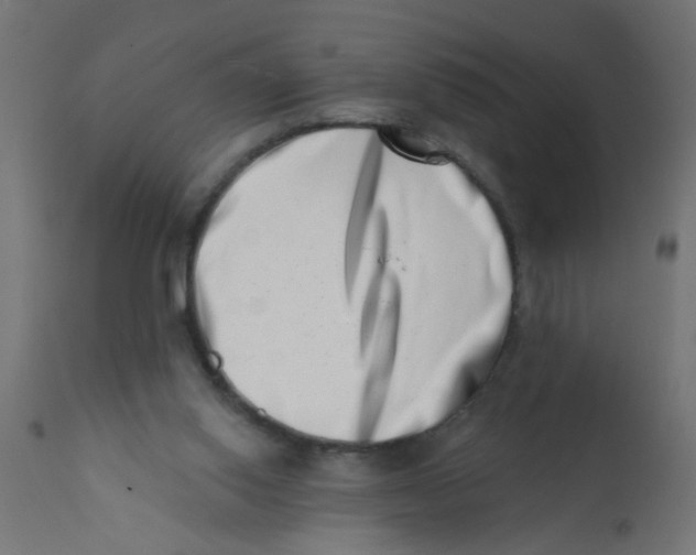 X0000113200062200910081301