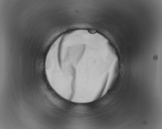X0000113200063200910081301