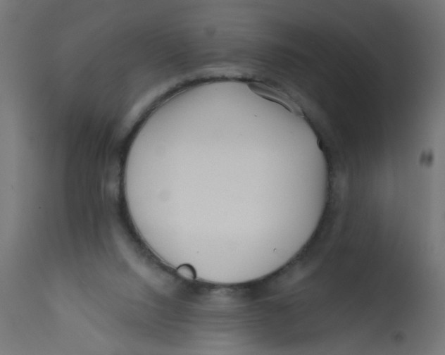 X0000113200064200910081301