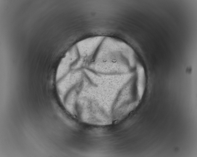 X0000113200065200910081301