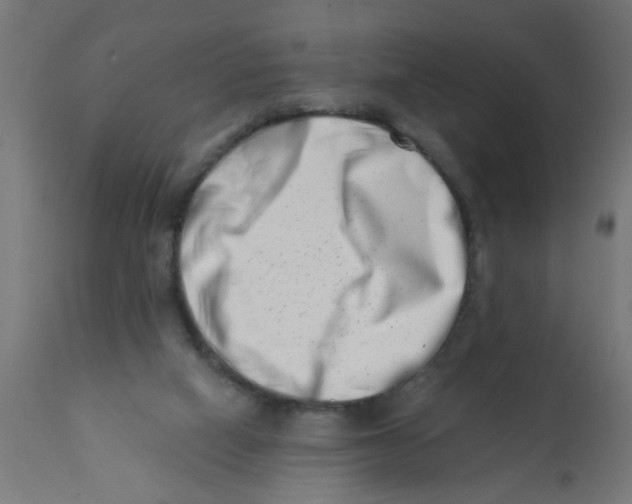 X0000113200066200910081302