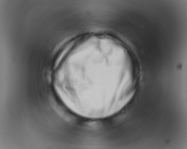 X0000113200067200910081302