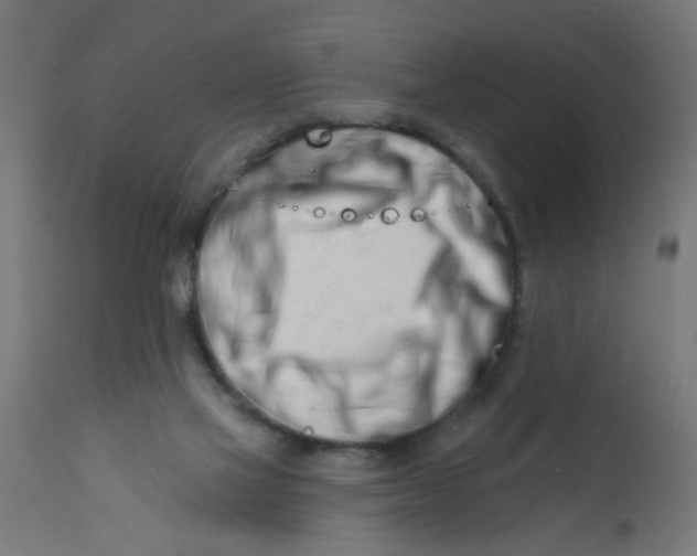 X0000113200069200910081302
