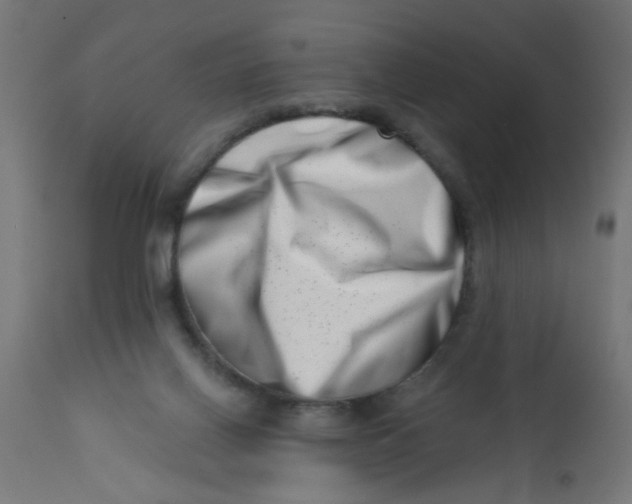 X0000113200070200910081302