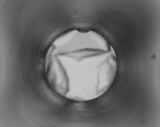 X0000113200071200910081302