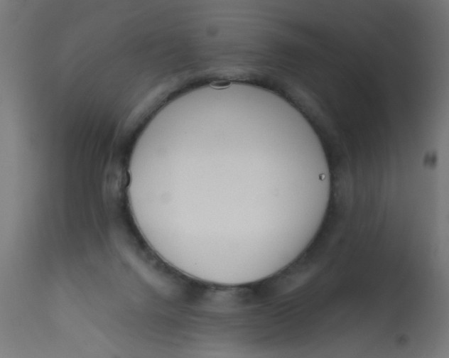 X0000113200072200910081302