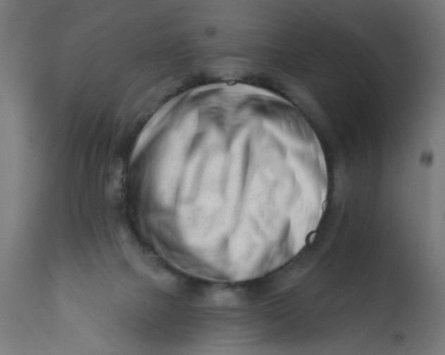 X0000113200073200910081302