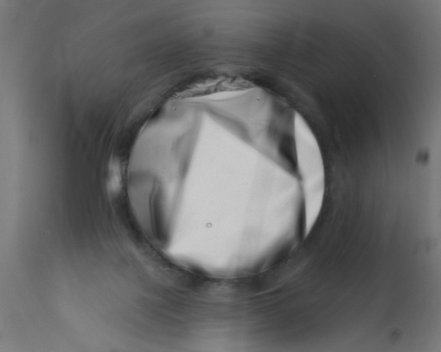 X0000113200075200910081302