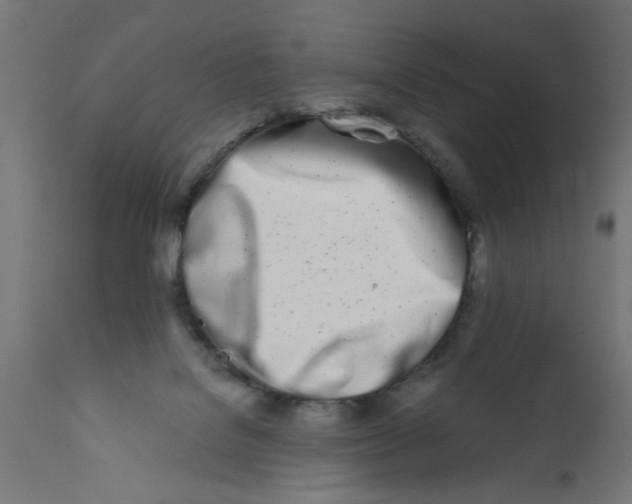 X0000113200076200910081302