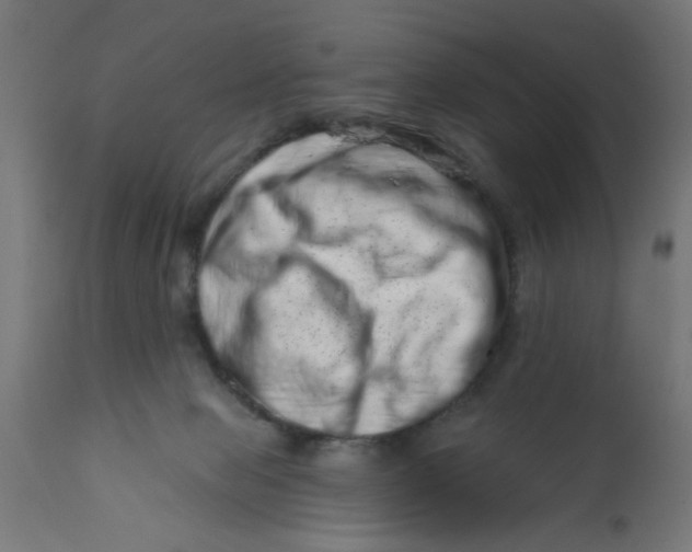 X0000113200077200910081302