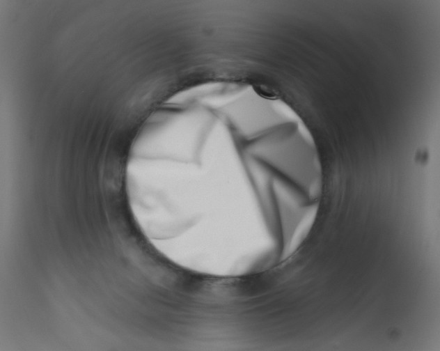 X0000113200078200910081302
