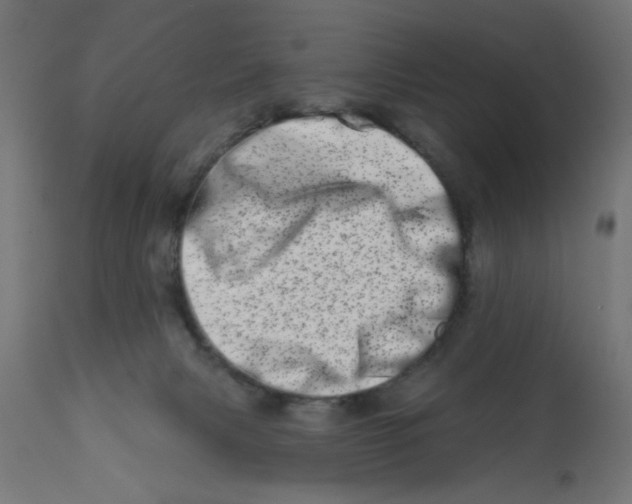 X0000113200079200910081302