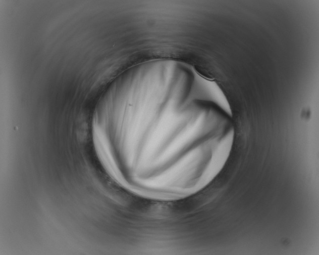 X0000113200080200910081302