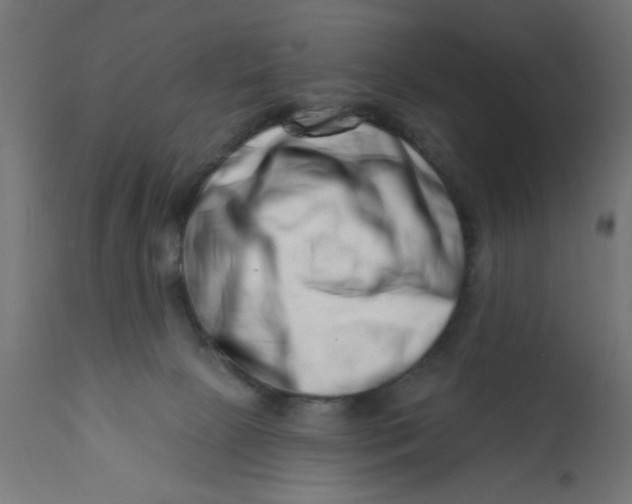 X0000113200081200910081302