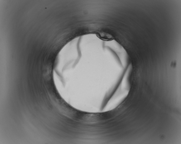 X0000113200082200910081302