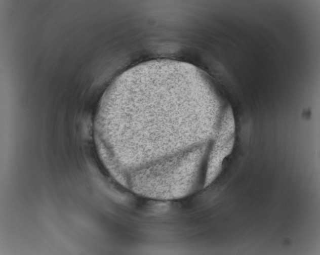 X0000113200083200910081302