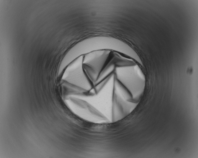 X0000113200084200910081302