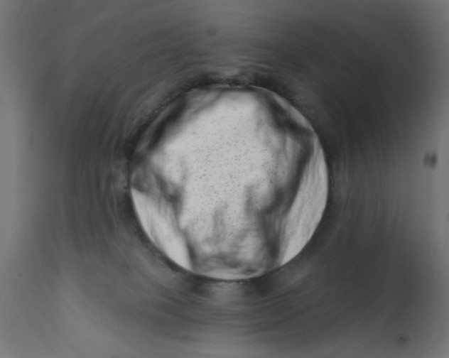X0000113200085200910081302