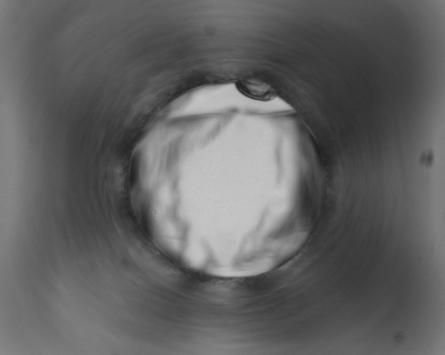 X0000113200086200910081302