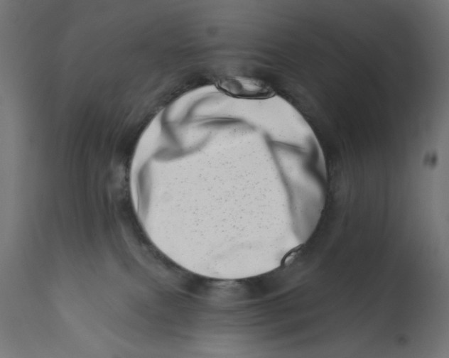 X0000113200087200910081302