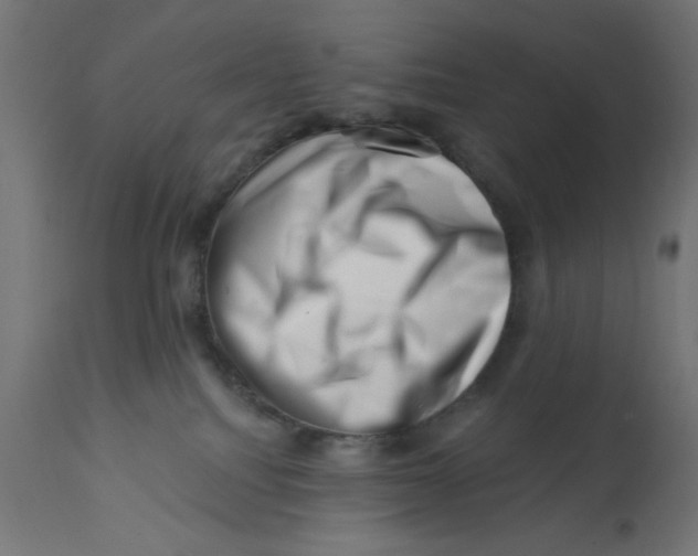 X0000113200088200910081302