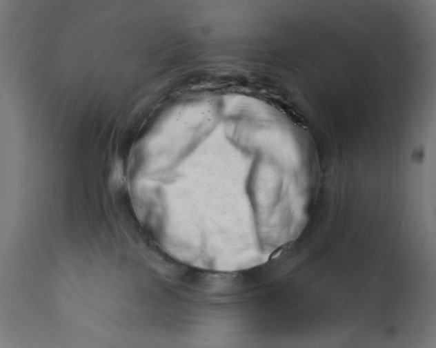X0000113200089200910081302