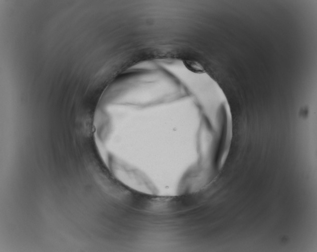 X0000113200090200910081302