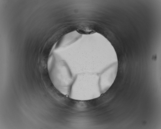 X0000113200091200910081302