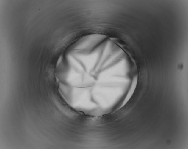X0000113200092200910081302