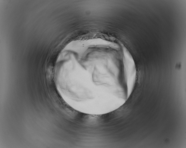 X0000113200093200910081302