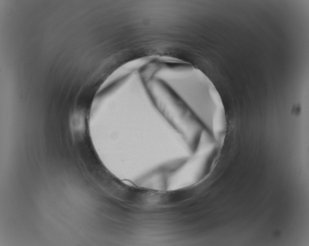 X0000113200094200910081302
