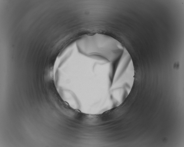 X0000113200095200910081302
