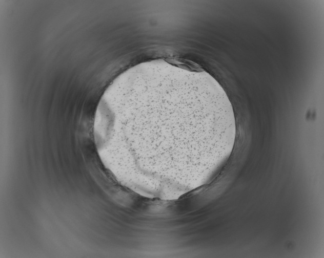 X0000113200096200910081302