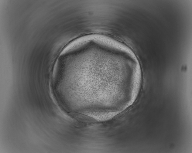 X0000113200097200910081301