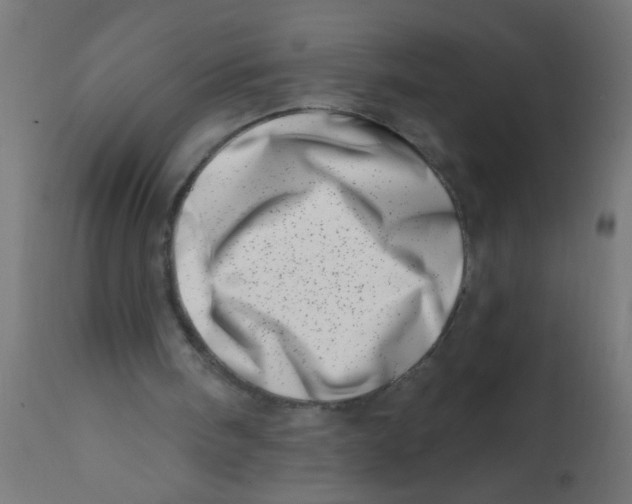 X0000113200098200910081301