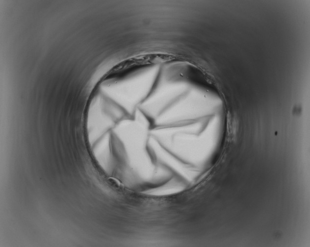 X0000113200099200910081301