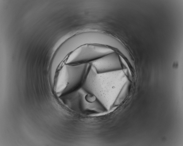 X0000113200100200910081301