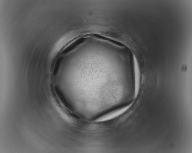 X0000113200101200910081301