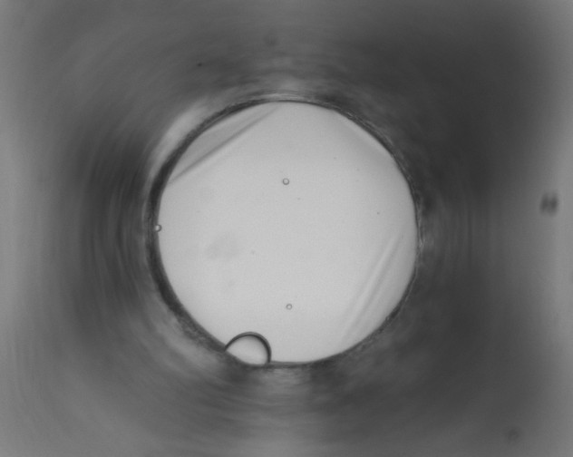 X0000113200102200910081301