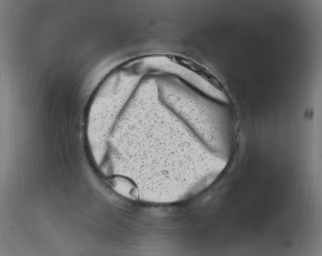 X0000113200103200910081301