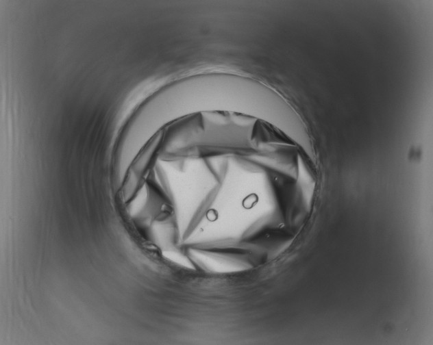 X0000113200104200910081301